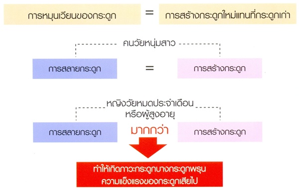 แคลซิมอร์
