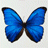 รูปประจำตัวของ Chana